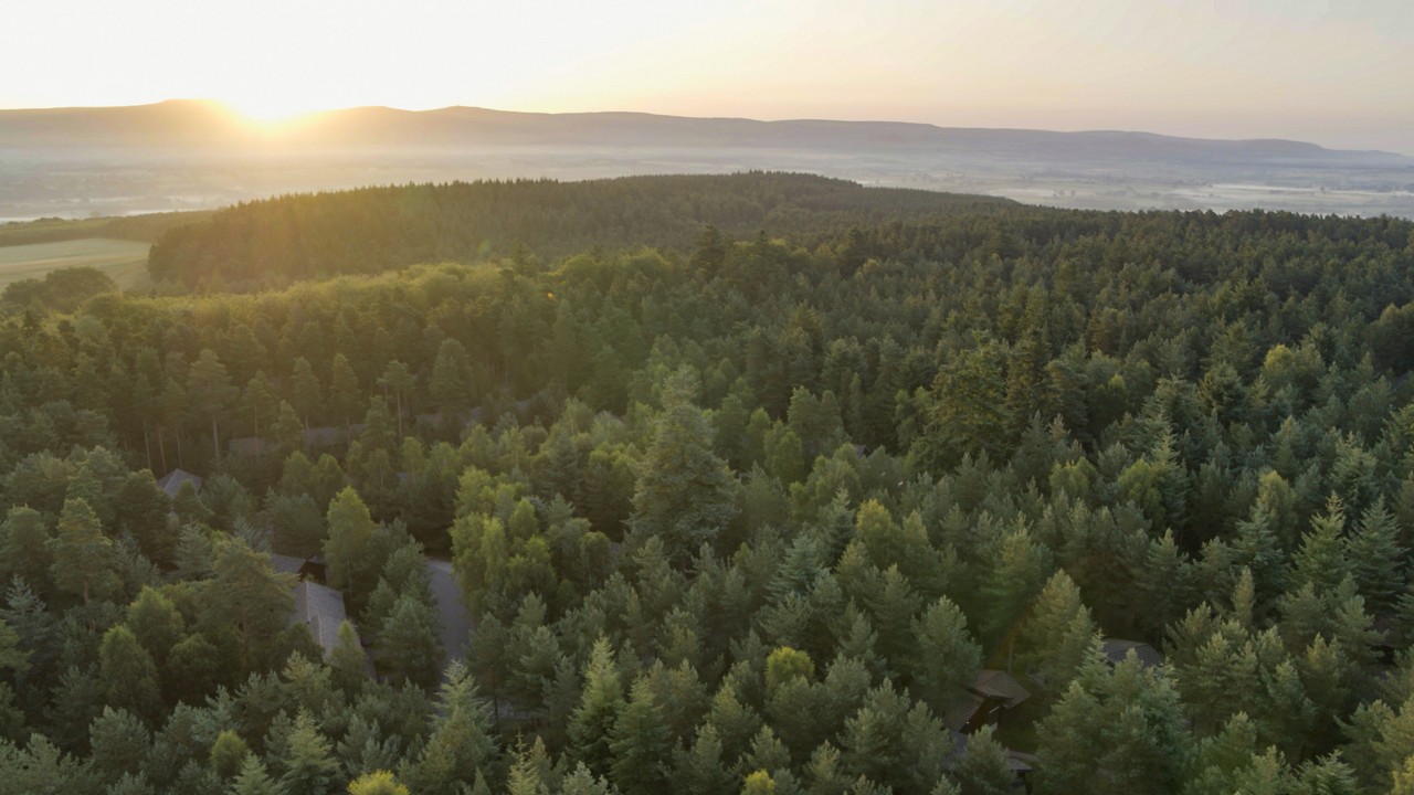 Sunlit forest canopy stretches across rolling terrain, glowing at sunrise. Scattered cabin rooftops peek between trees. In the distance, low hills and misty fields fade under a bright horizon.