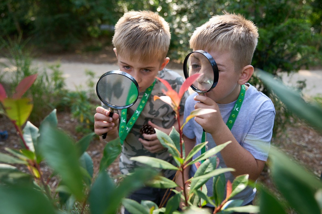 Two children doing the nature detectives activity.