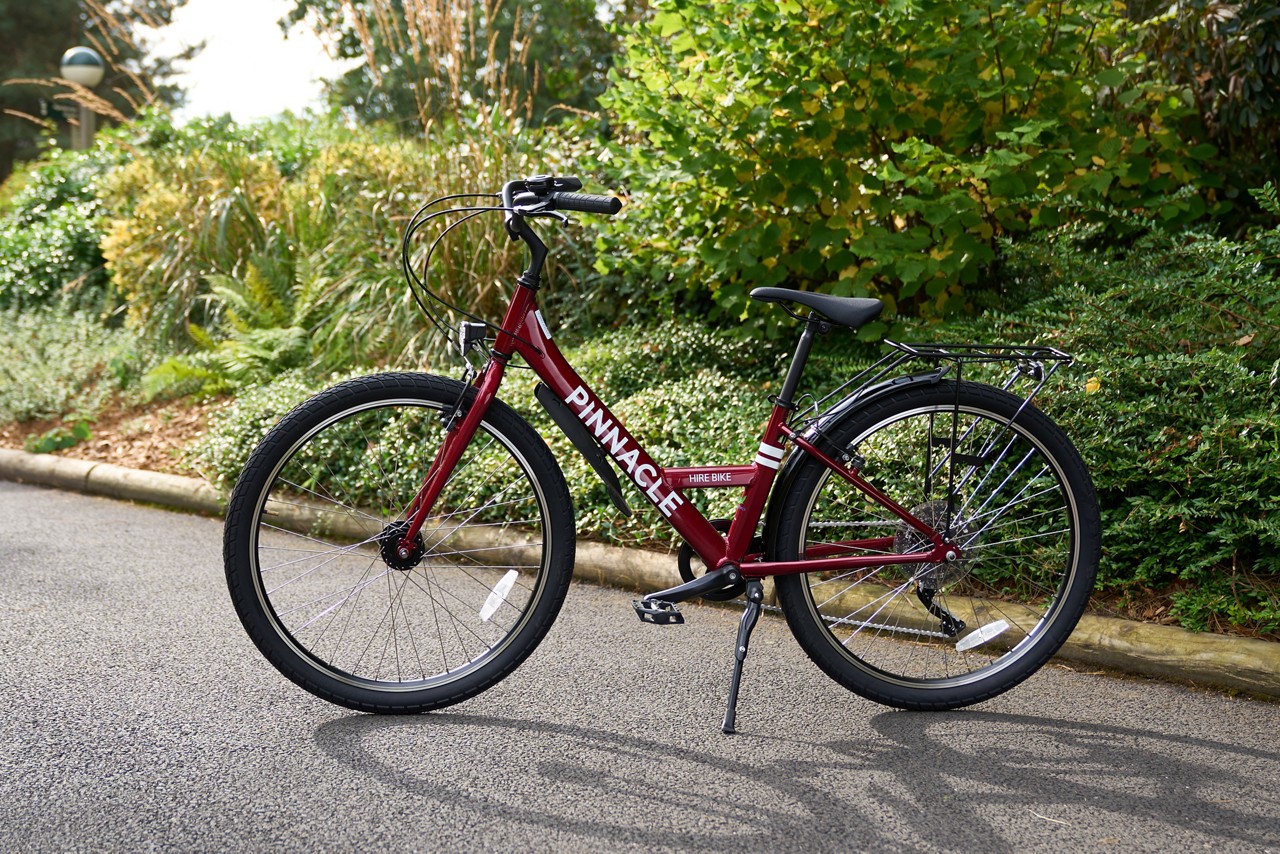 Bicycle stands on its kickstand on a paved path beside dense shrubs. Maroon frame shows text: PINNACLE and HIRE BIKE. Rear rack, fenders, and front light visible.
