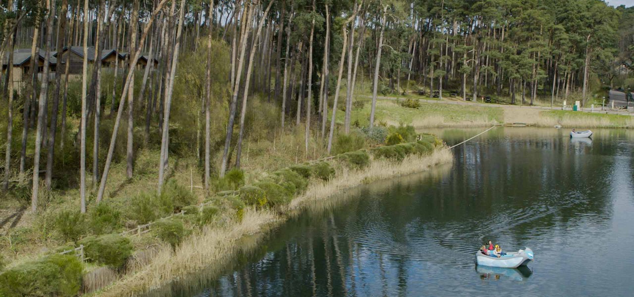 An electric boat in the lake at Woburn Forest