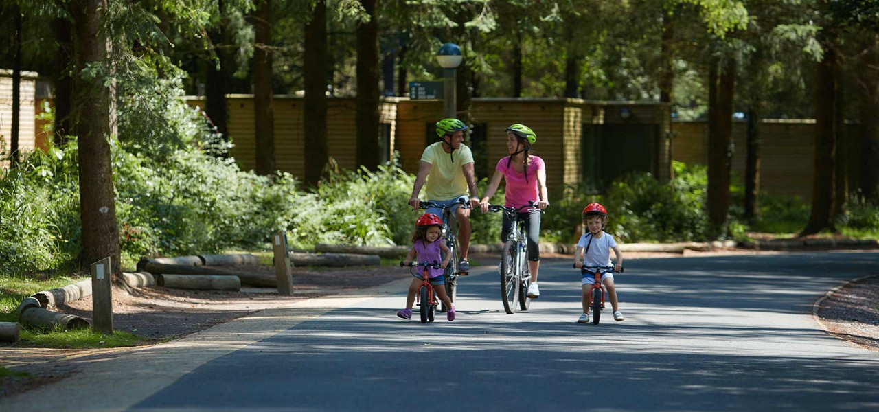 A family cycling through the forest