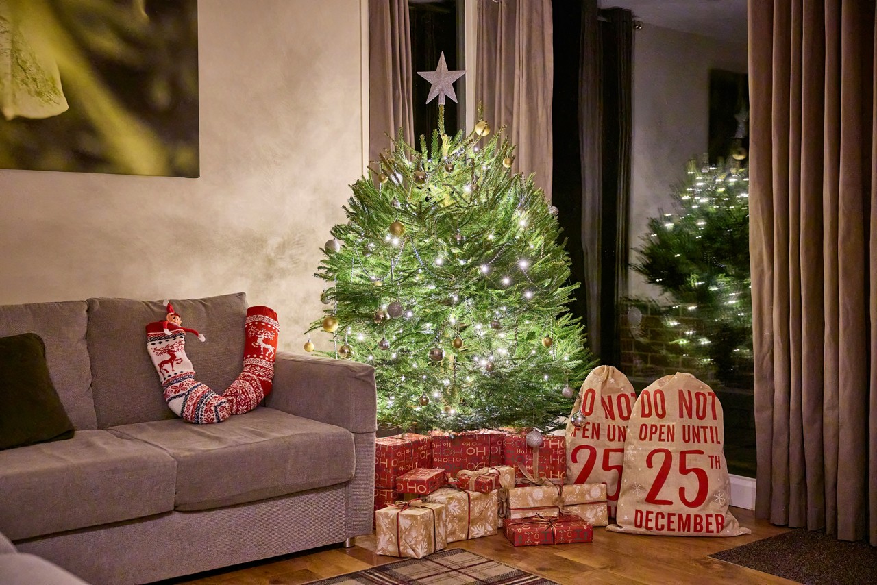 A christmas tree in a lodge.