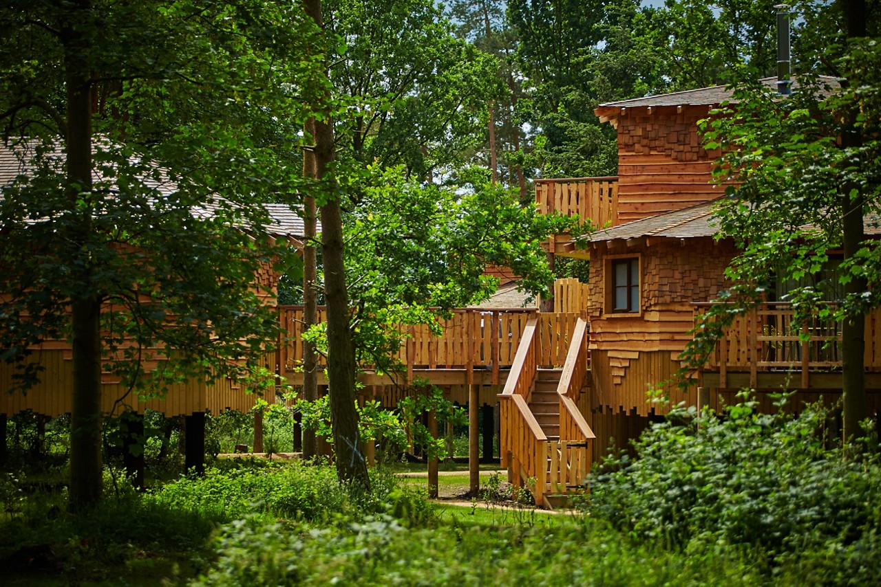 Treehouse Exterior